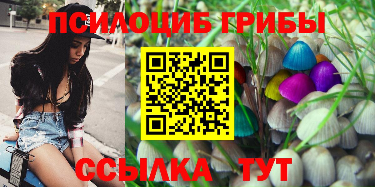 Псилоцибиновые грибы Magic Shrooms Белгород