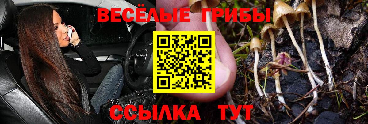 Псилоцибиновые грибы прущие грибы  Псилоцибиновые грибы GOLDEN TEACHER  Вход с VPN  Белгород 